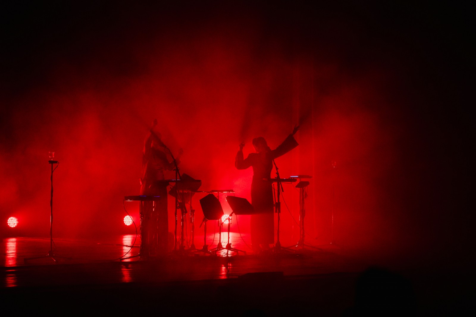 Imatge il·lustrativa