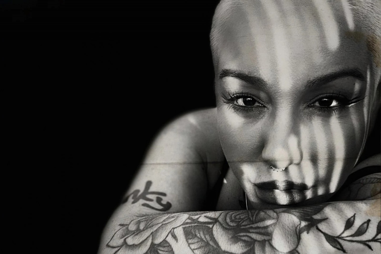 Imatge il·lustrativa