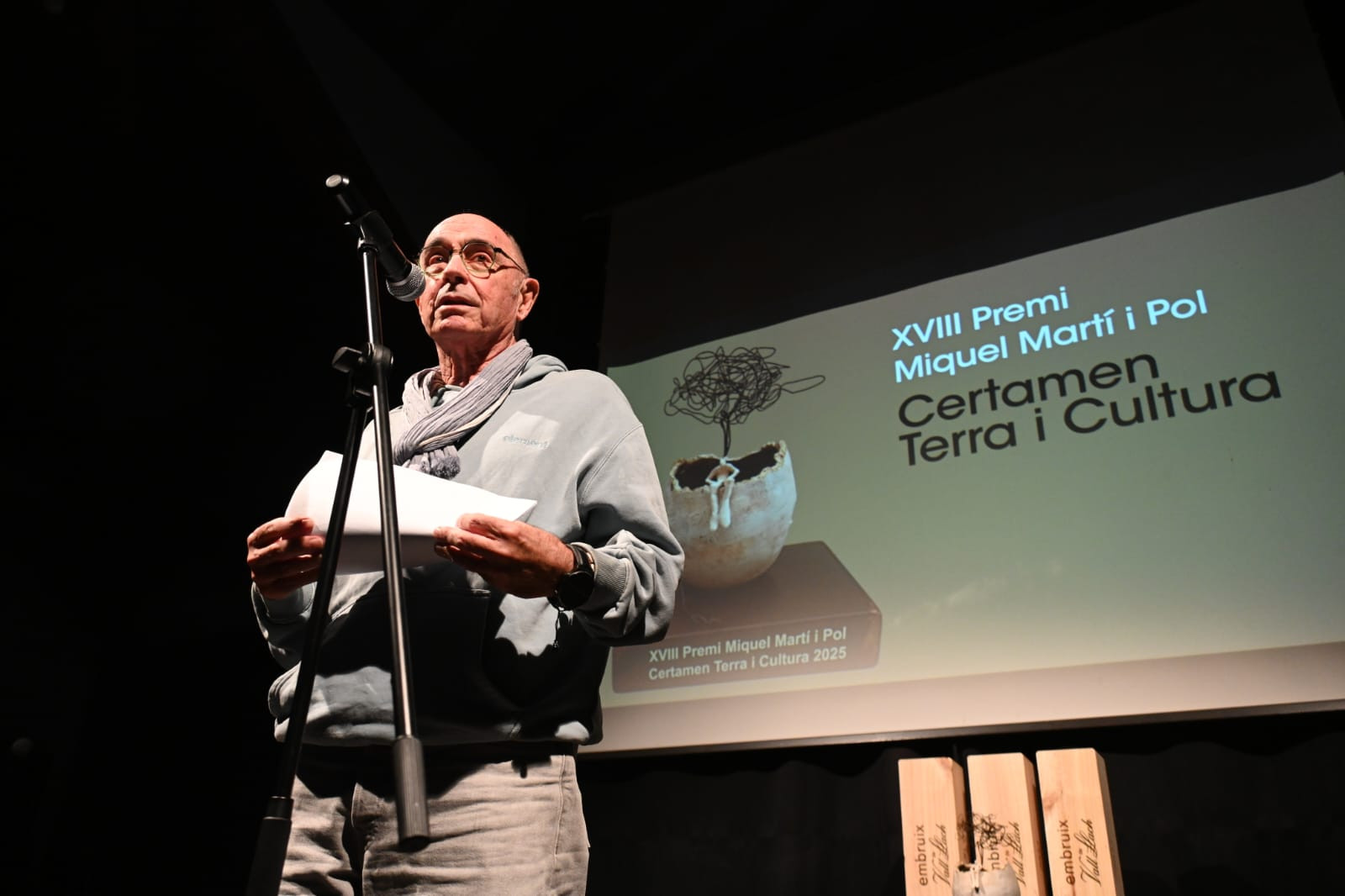 Lluís Llach a l'acte de lliurament del XIX Premi Miquel Martí i Pol