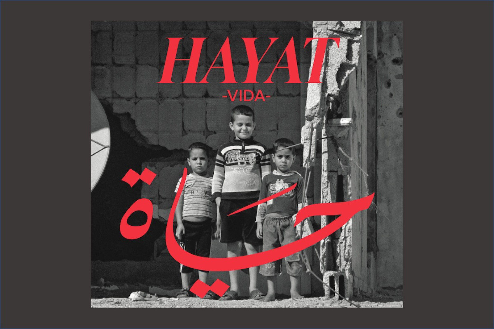 Miniatura de la portada de «Hayat»