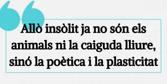 Cirquejant pel segle XXI, per Amàlia Garrigós Enderrock.cat